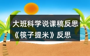 大班科學說課稿反思《筷子提米》反思
