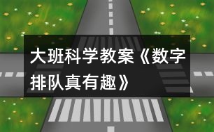 大班科學教案《數(shù)字排隊真有趣》