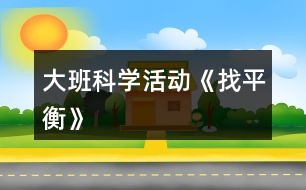 大班科學(xué)活動《找平衡》