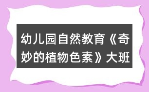 幼兒園自然教育《奇妙的植物色素》大班科學教案