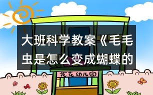 大班科學(xué)教案《毛毛蟲(chóng)是怎么變成蝴蝶的》毛毛蟲(chóng)變成蝴蝶反思