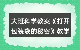 大班科學教案《打開包裝袋的秘密》教學反思