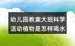 幼兒園教案大班科學活動植物是怎樣喝水的