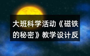 大班科學活動《磁鐵的秘密》教學設計反思