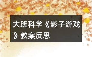 大班科學(xué)《影子游戲》教案反思