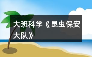 大班科學(xué)《昆蟲保安大隊》