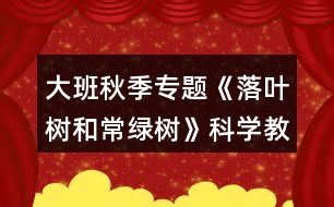 大班秋季專題《落葉樹(shù)和常綠樹(shù)》科學(xué)教案反思