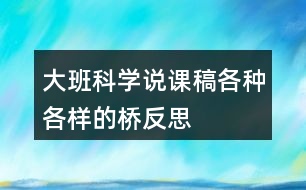 大班科學(xué)說課稿各種各樣的橋反思