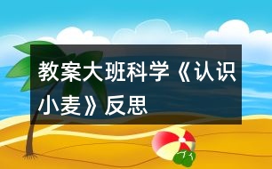 教案大班科學(xué)《認(rèn)識(shí)小麥》反思