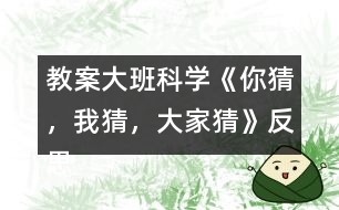 教案大班科學《你猜，我猜，大家猜》反思