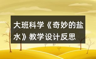 大班科學《奇妙的鹽水》教學設計反思