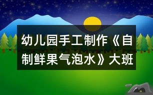 幼兒園手工制作《自制鮮果氣泡水》大班科學教案