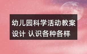 幼兒園科學活動教案設(shè)計 認識各種各樣的飛機反思