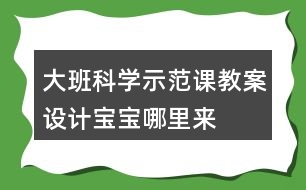 大班科學(xué)示范課教案設(shè)計(jì)寶寶哪里來(lái)