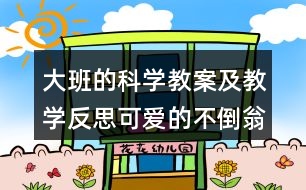 大班的科學(xué)教案及教學(xué)反思可愛(ài)的不倒翁