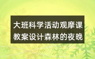 大班科學活動觀摩課教案設計森林的夜晚