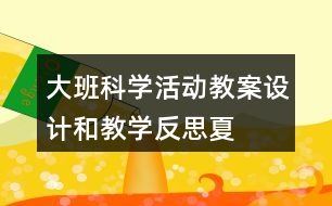 大班科學(xué)活動(dòng)教案設(shè)計(jì)和教學(xué)反思——夏天在那里??？