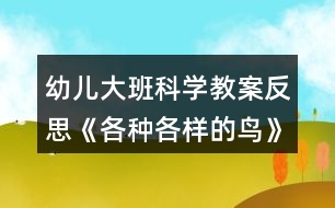 幼兒大班科學(xué)教案反思《各種各樣的鳥(niǎo)》