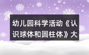 幼兒園科學(xué)活動(dòng)《認(rèn)識(shí)球體和圓柱體》大班教學(xué)設(shè)計(jì)