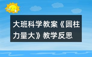 大班科學教案《圓柱力量大》教學反思