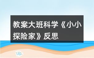 教案大班科學《小小探險家》反思