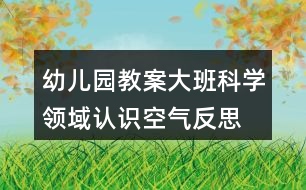 幼兒園教案大班科學領(lǐng)域認識空氣反思
