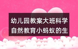 幼兒園教案大班科學自然教育小螞蟻的生日會反思