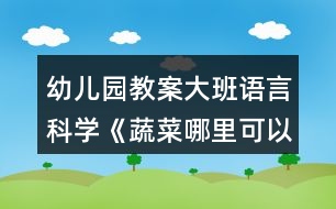 幼兒園教案大班語言科學《蔬菜哪里可以吃》總結