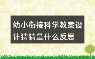 幼小銜接科學教案設(shè)計—猜猜是什么反思