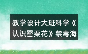 教學設(shè)計大班科學《認識罌粟花》（禁毒海報）反思