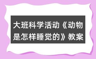 大班科學(xué)活動《動物是怎樣睡覺的》教案反思