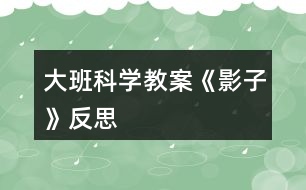 大班科學教案《影子》反思