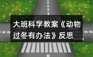 大班科學教案《動物過冬有辦法》反思