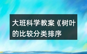 大班科學(xué)教案《樹葉的比較、分類、排序》反思