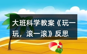 大班科學(xué)教案《玩一玩，滾一滾》反思