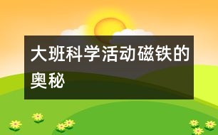 大班科學(xué)活動(dòng)：磁鐵的奧秘