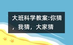 大班科學(xué)教案:你猜，我猜，大家猜