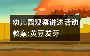 幼兒園觀察講述活動(dòng)教案:黃豆發(fā)芽