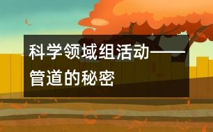 科學(xué)領(lǐng)域組活動(dòng)――管道的秘密