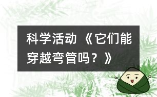 科學(xué)活動 《它們能穿越彎管嗎？》