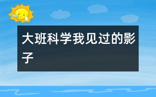 大班科學：我見過的影子