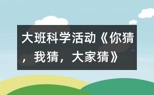 大班科學活動《你猜，我猜，大家猜》