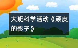 大班科學(xué)活動(dòng)：《頑皮的影子》