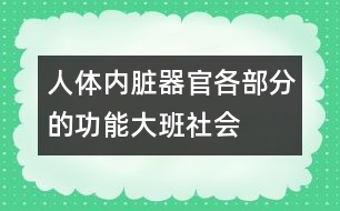 人體內臟器官各部分的功能（大班社會）