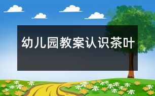 幼兒園教案：認識茶葉