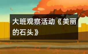 大班觀(guān)察活動(dòng)《美麗的石頭》