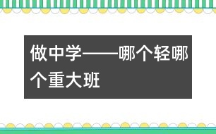 做中學(xué)――哪個(gè)輕、哪個(gè)重（大班）