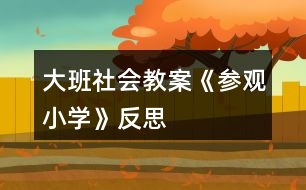 大班社會教案《參觀小學(xué)》反思
