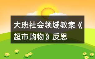 大班社會領域教案《超市購物》反思