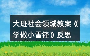 大班社會領域教案《學做小雷鋒》反思